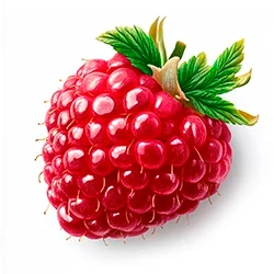 Плодовые кустарники